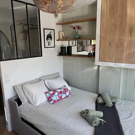 Petit Cocon Cosy Proche Zenith, Parking Et Jardin דירה קאין