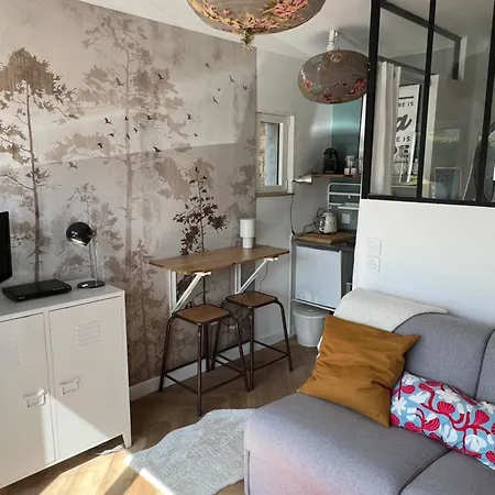 Petit Cocon Cosy Proche Zenith, Parking Et Jardin דירה *